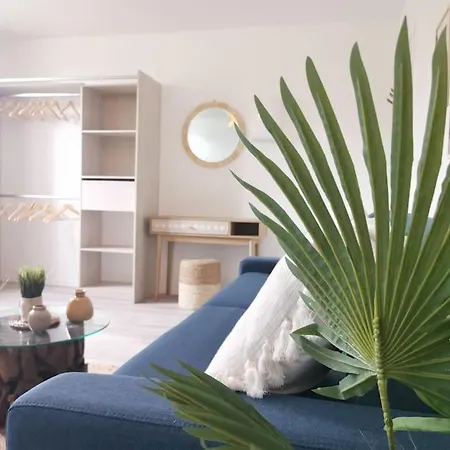 Appartement Le Trekking *studio 30m²*wifi*parking Prive*calme Lourdes